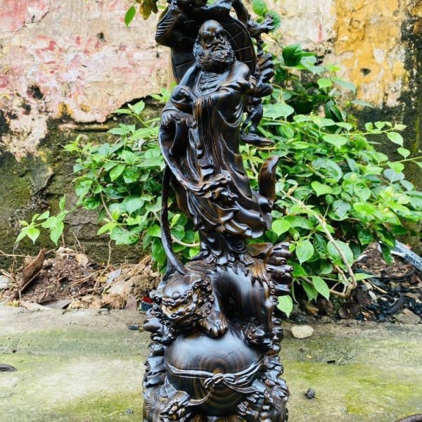 Tượng Đạt Ma phục lân gỗ hương phun giả mun cao 50 cm